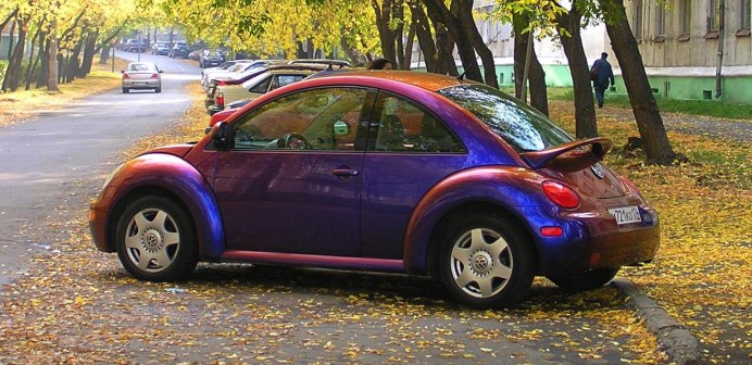 Жук носорог