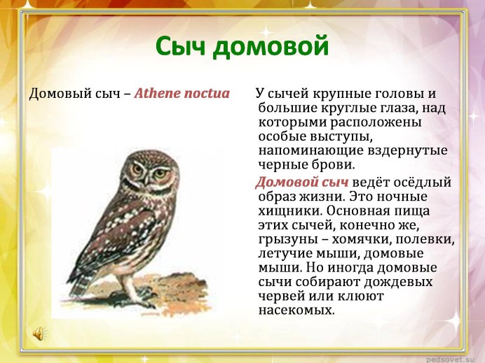 Птица трипиздень