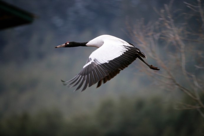 Национальный парк Джигме Сингье Вангчука