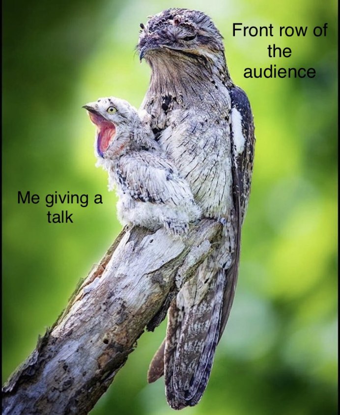 Африканский вымпеловый козодой