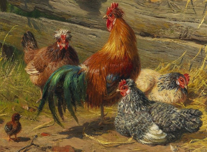 Огород в деревне