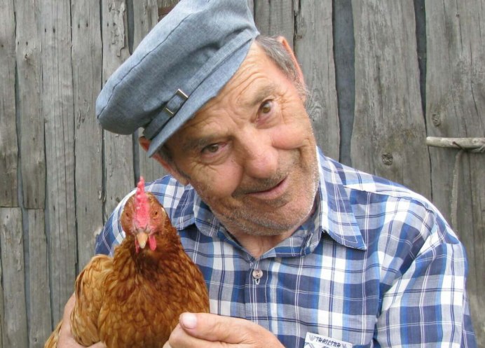 Старая курица