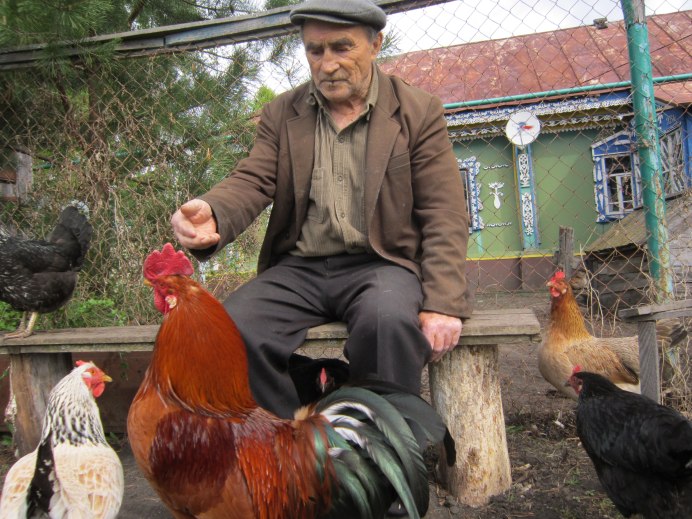 Ферма в Германии сельское хозяйство