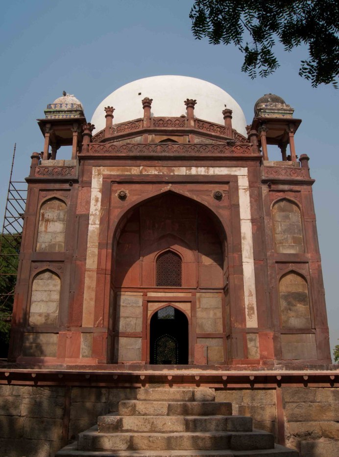 Houbara Bustard птица
