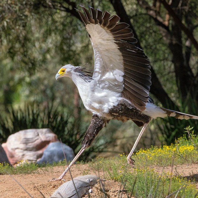Захиреддин Мухаммед Бабур 1483-1530