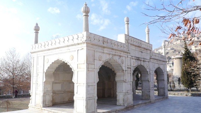 Белолицый Ибис