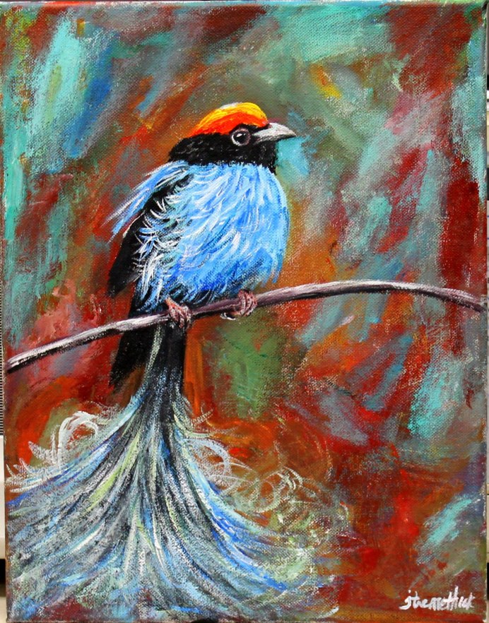 Длиннохвостая синица