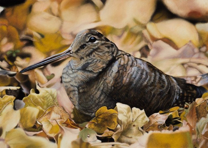 Живопись Лесные птицы