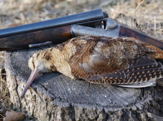 Катав-Ивановское лесничество Челябинской области