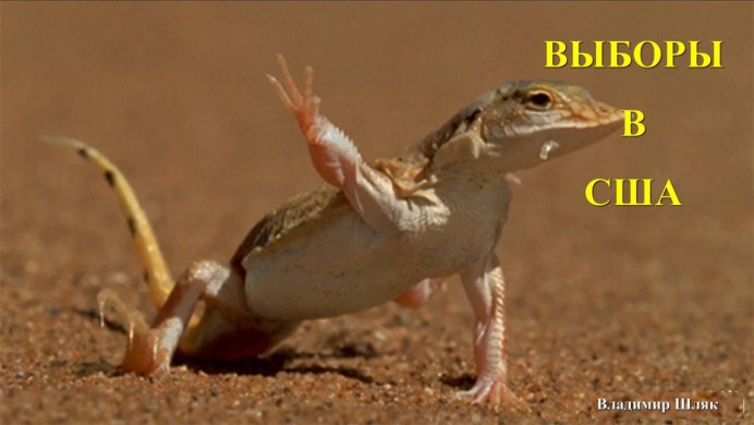 Varanus Panoptes