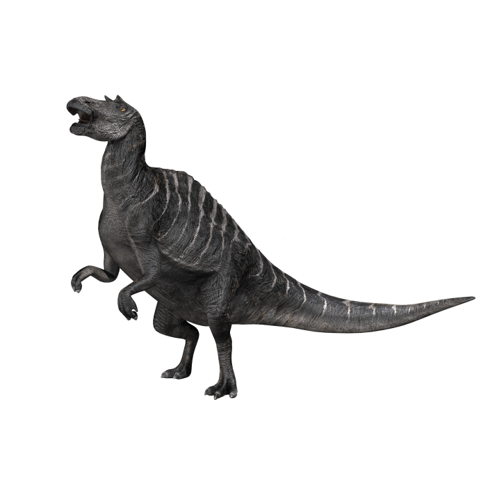 Dinosaurs by cisiopurple орнитоподы