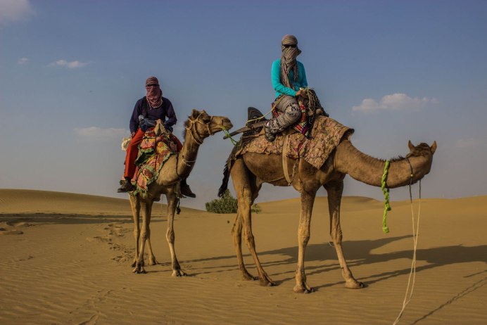 Тайган верблюд