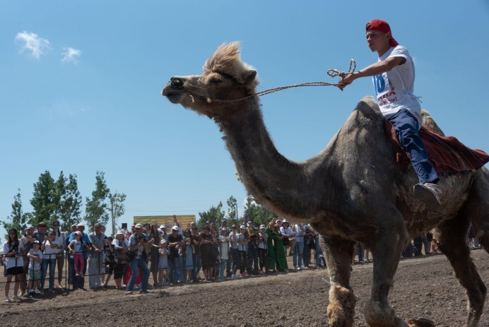 Есть в Сирии Верблюды