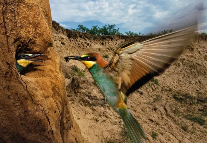 Парк Кирова Ижевск Птичья столовая