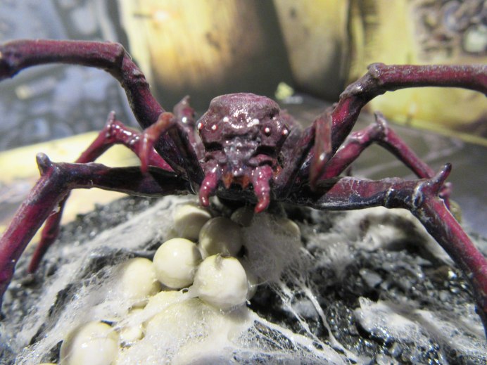 Гигантский паук-охотник (heteropoda maxima)