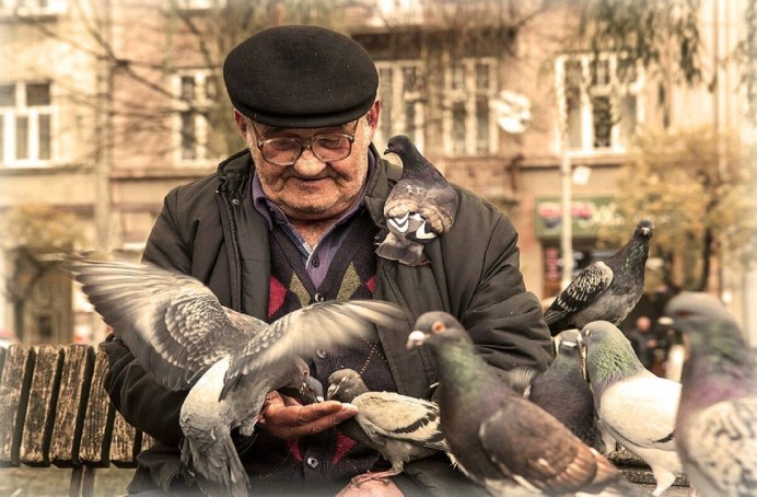 Голубь сидит на карнизе