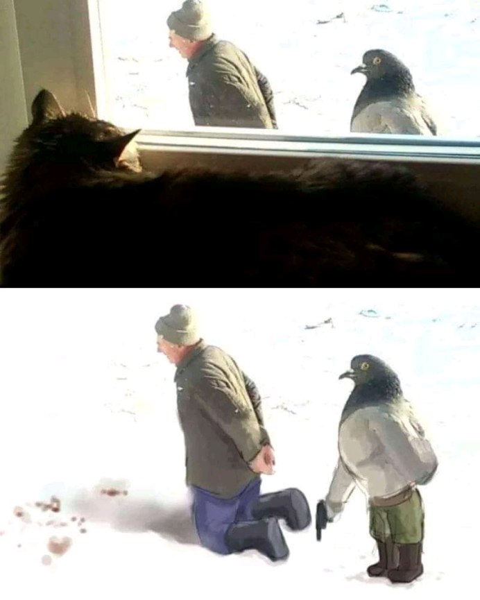 Голуби Крыма