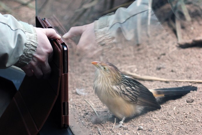 Малая Кукушка