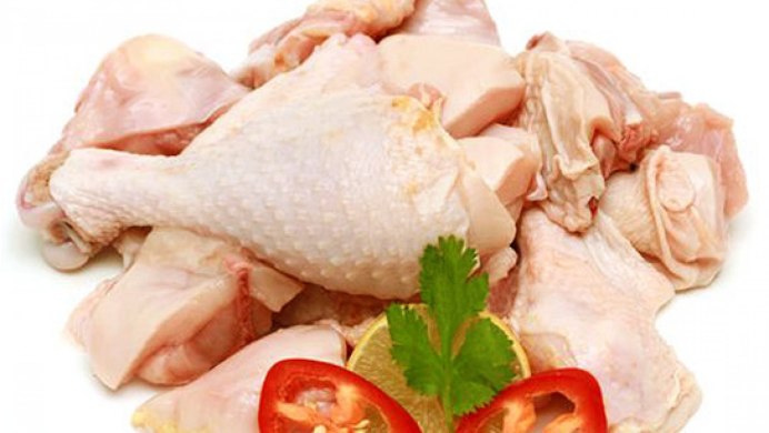 Hen на белом фоне
