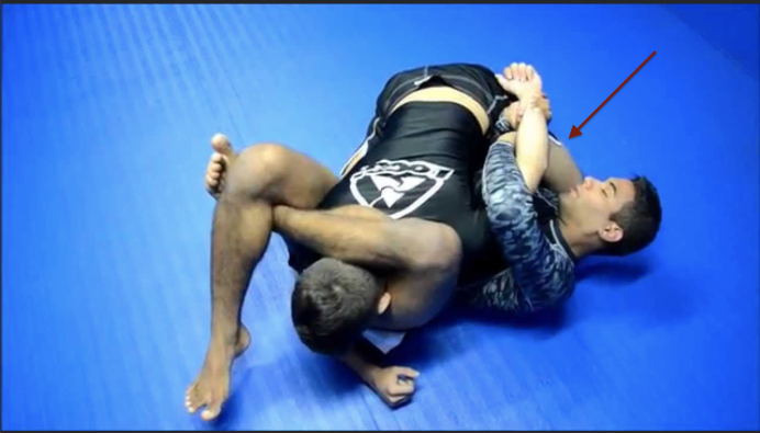 Змея тигровый питон