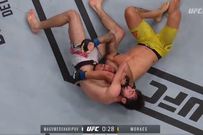 Забит Магомедшарипов удушающий