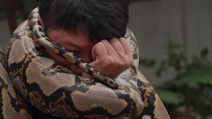 Самая большая Анаконда 41м