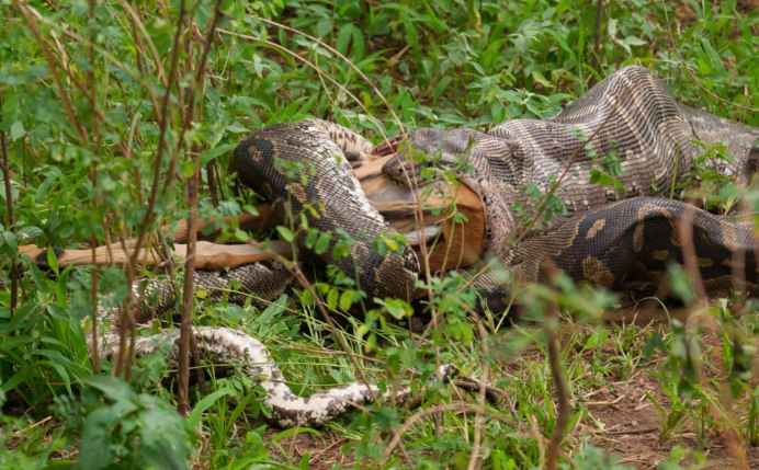 Токсичный и удушающий абьюзер стихи