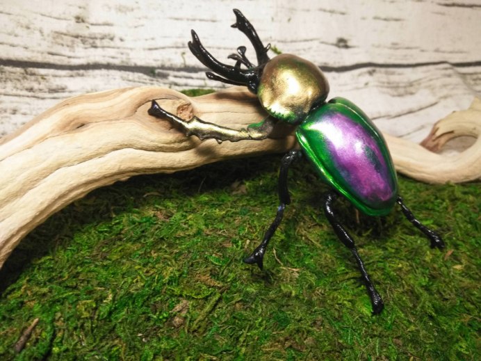 Rainbow Stag Beetle