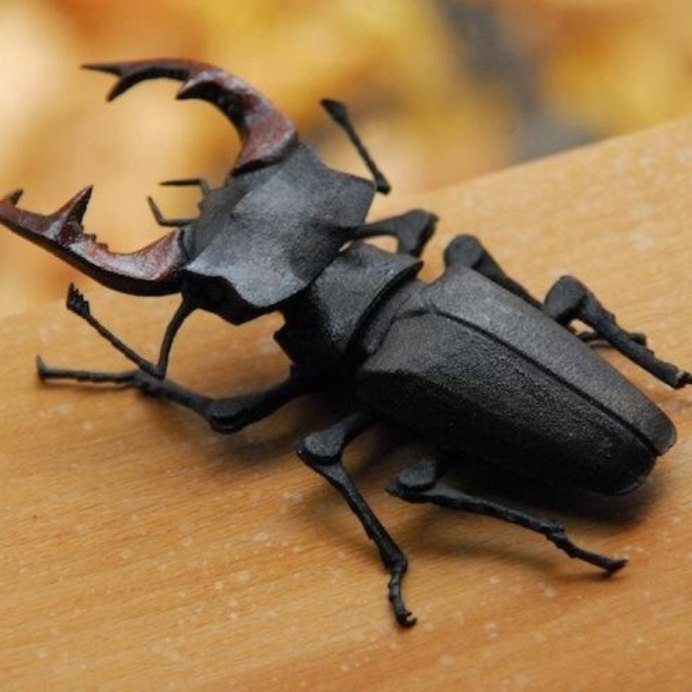 Жук-носорог Вильчаторогий Trypoxylus dichotomus