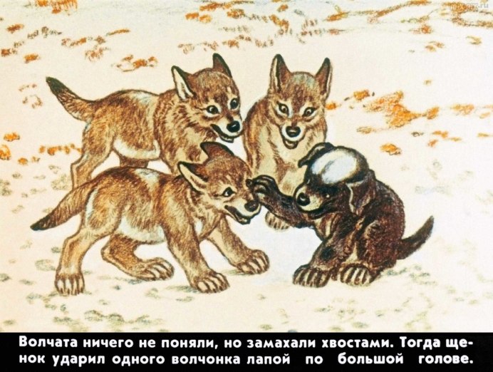Скорлупки ghg