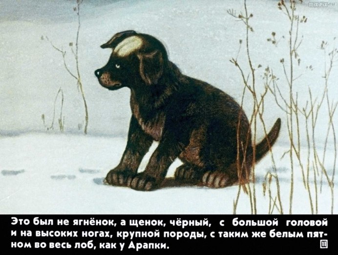 Большая черная птица Беларусь
