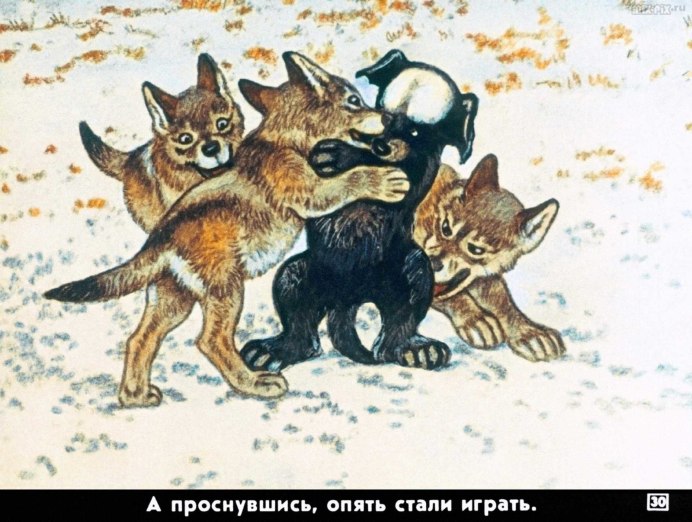 Сокол-Сапсан (Falco peregrinus)