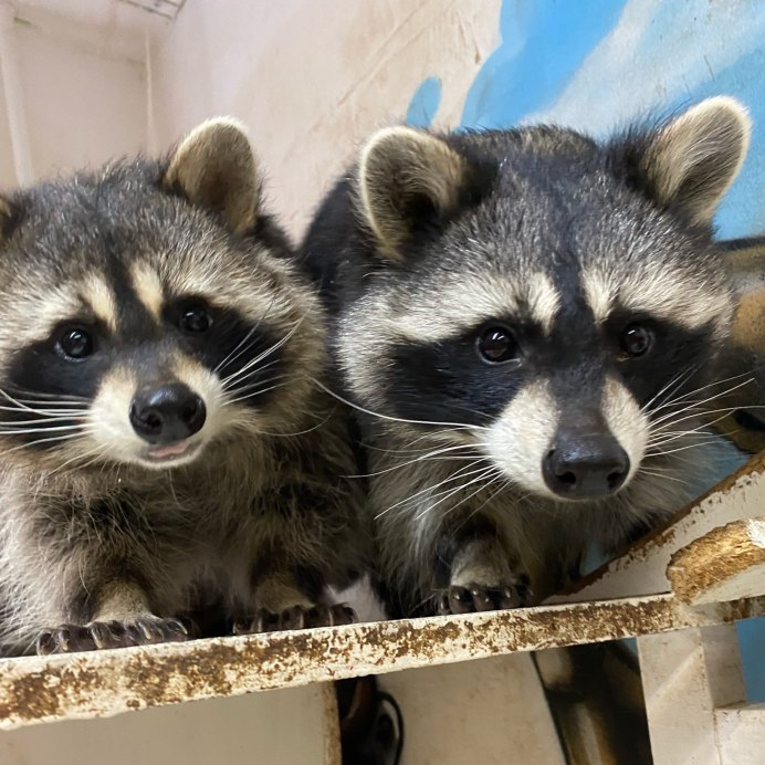 Заставка на рабочий стол Минимализм