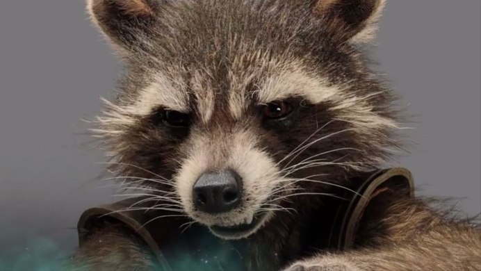 Енотовидная собака