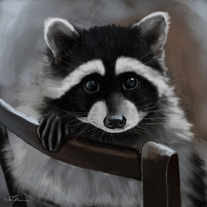 Еноты в Германии