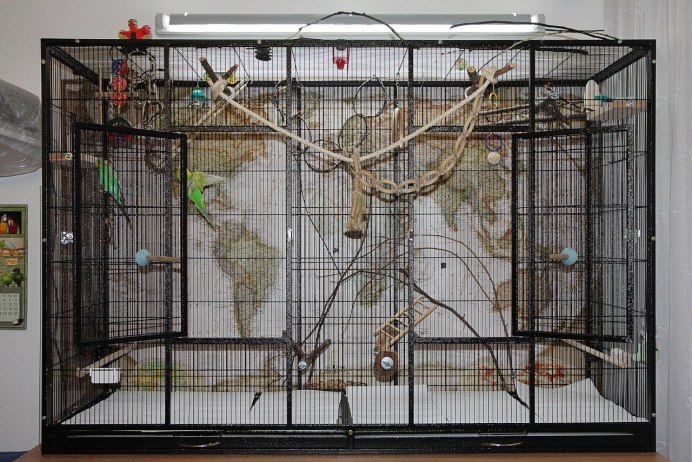 Midwest клетка для кошек Cat Playpens