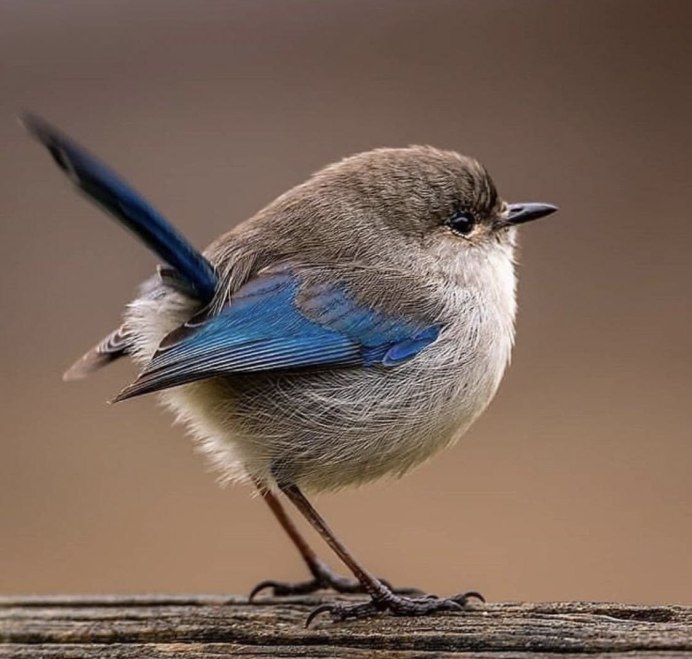 Маленькие пикчи