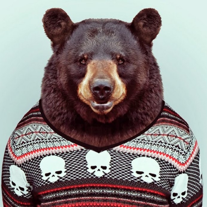 Бурый медведь