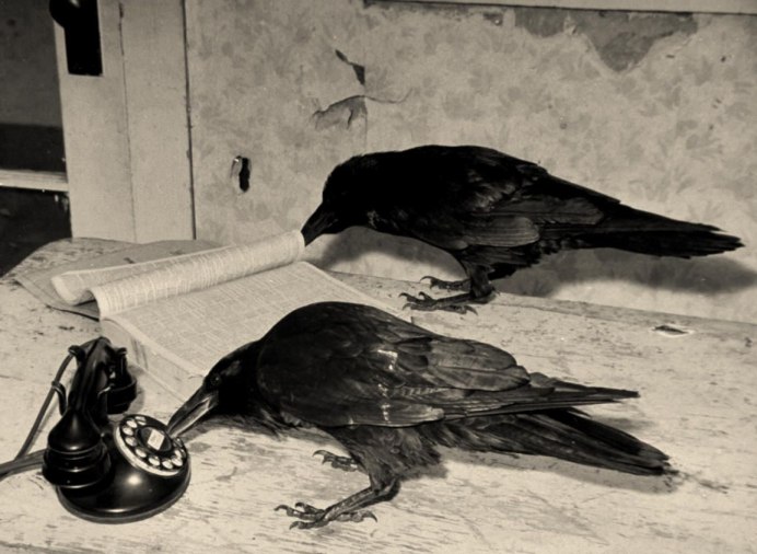 Птица с червяком в клюве