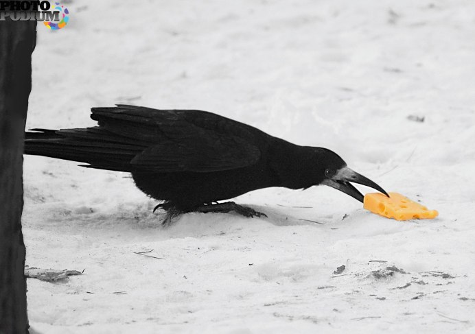 Грач референс