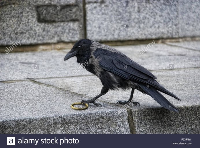 Ворон ест змею