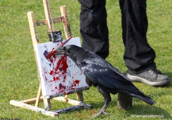 Ворона и дворник