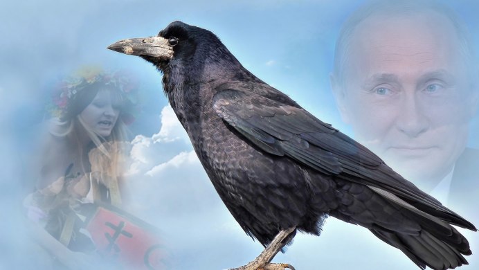 Галка обыкновенная