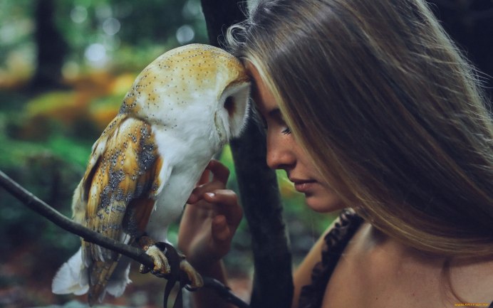 Усталая Сова