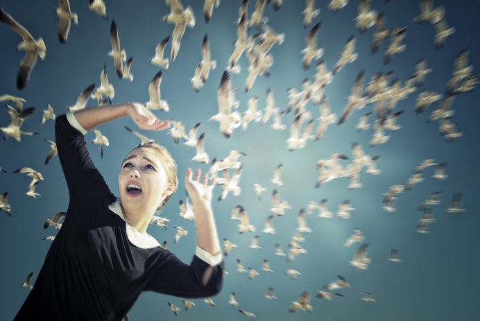 Птенцы на ветке