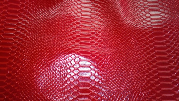 Маисовый полоз черный