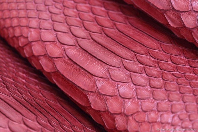 Маисовый полоз оранжевый