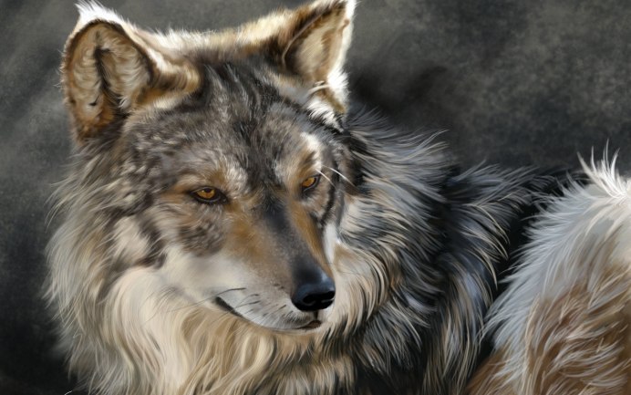 Canis Lupus ареал