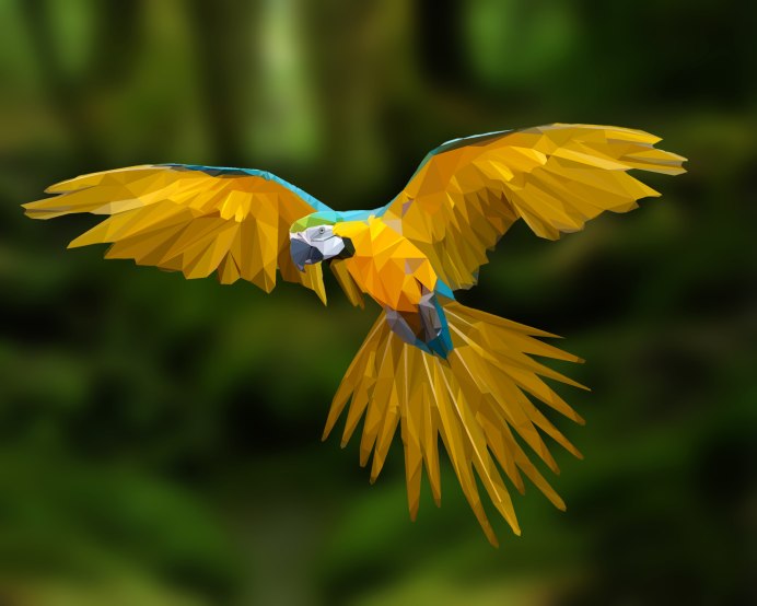 Волнистый попугай в полете фото