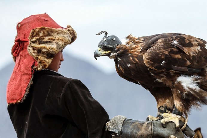 National Geographic. Белоголовый Орлан